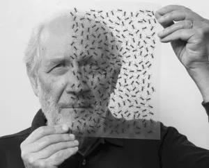 Emilio Isgro Artista