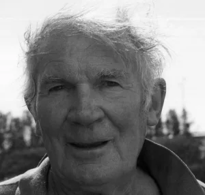 Bengt Lindstrom Artista